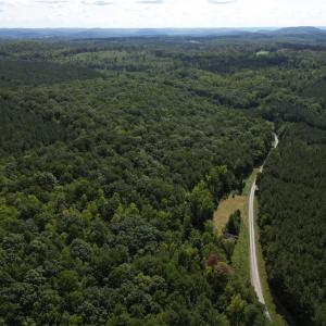 Photo #8 of Chapel Hill Church, Denton, NC 94.6 acres