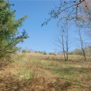 Photo #2 of 7 Old Mill, Pinnacle, NC 13.3 acres