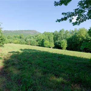 Photo #6 of 7 Old Mill, Pinnacle, NC 13.3 acres