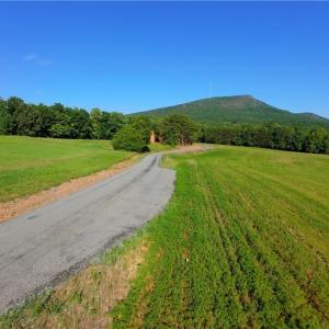 Photo #16 of 7 Old Mill, Pinnacle, NC 13.3 acres