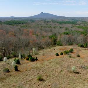 Photo #3 of 7 Old Mill, Pinnacle, NC 13.3 acres