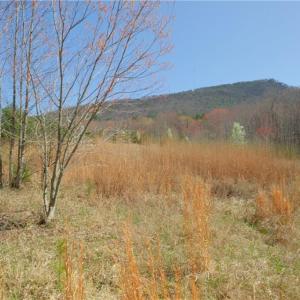 Photo #1 of 7 Old Mill, Pinnacle, NC 13.3 acres