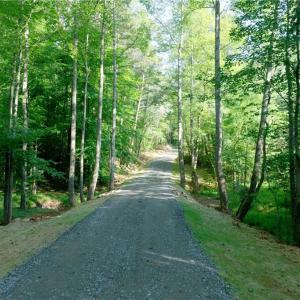 Photo #10 of 7 Old Mill, Pinnacle, NC 13.3 acres