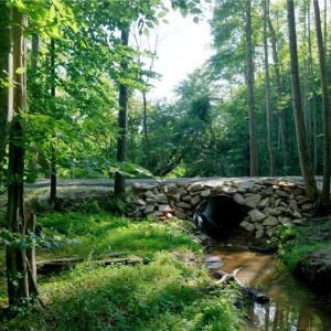 Photo #11 of 7 Old Mill, Pinnacle, NC 13.3 acres