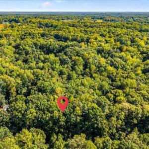 Photo #6 of 1782 Kalon, Browns Summit, NC 2.6 acres