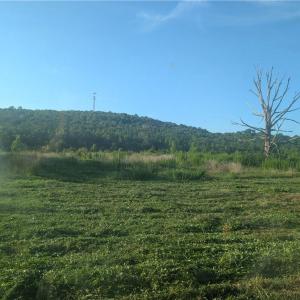 Photo #2 of TBD NC Highway 49, Denton, NC 13.2 acres