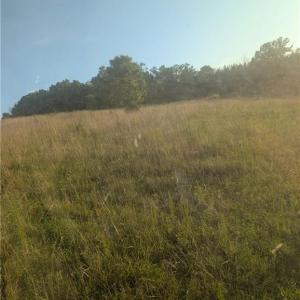 Photo #3 of TBD NC Highway 49, Denton, NC 13.2 acres