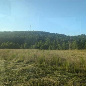 Photo #5 of TBD NC Highway 49, Denton, NC 13.2 acres