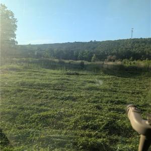 Photo #4 of TBD NC Highway 49, Denton, NC 13.2 acres