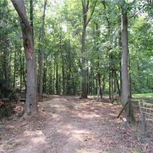 Photo #13 of 2643 Roberts Chapel, Goldston, NC 16.8 acres
