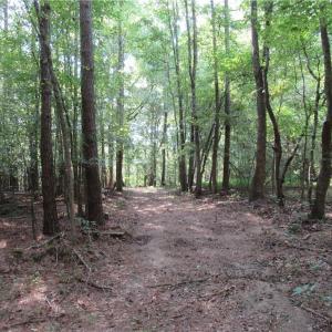 Photo #17 of 2643 Roberts Chapel, Goldston, NC 16.8 acres