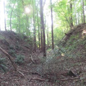 Photo #43 of 2643 Roberts Chapel, Goldston, NC 16.8 acres