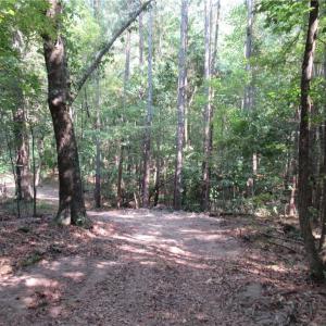 Photo #16 of 2643 Roberts Chapel, Goldston, NC 16.8 acres