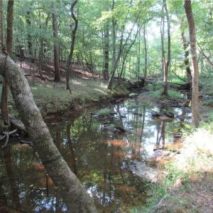 Photo #22 of 2643 Roberts Chapel, Goldston, NC 16.8 acres