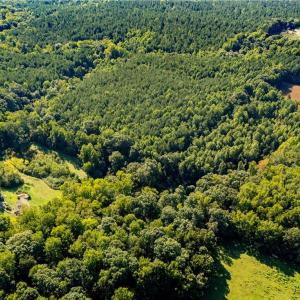 Photo #3 of 2643 Roberts Chapel, Goldston, NC 16.8 acres