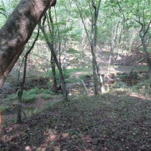Photo #28 of 2643 Roberts Chapel, Goldston, NC 16.8 acres