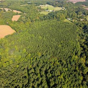 Photo #5 of 2643 Roberts Chapel, Goldston, NC 16.8 acres