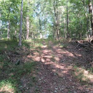 Photo #20 of 2643 Roberts Chapel, Goldston, NC 16.8 acres