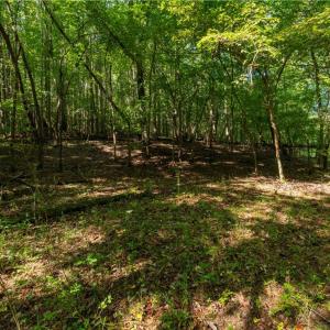 Photo #9 of 2643 Roberts Chapel, Goldston, NC 16.8 acres