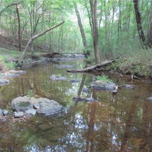 Photo #24 of 2643 Roberts Chapel, Goldston, NC 16.8 acres