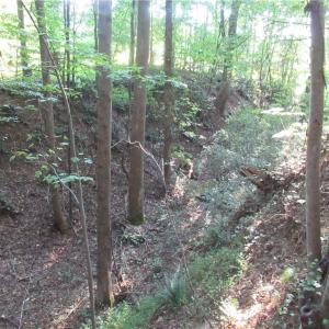 Photo #41 of 2643 Roberts Chapel, Goldston, NC 16.8 acres