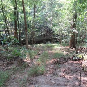 Photo #18 of 2643 Roberts Chapel, Goldston, NC 16.8 acres