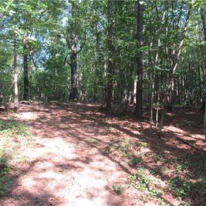 Photo #19 of 2643 Roberts Chapel, Goldston, NC 16.8 acres