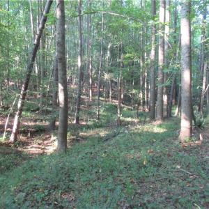 Photo #44 of 2643 Roberts Chapel, Goldston, NC 16.8 acres