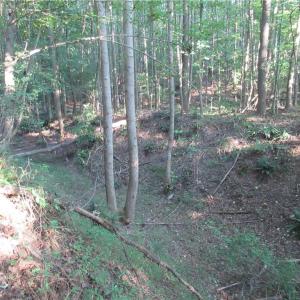 Photo #39 of 2643 Roberts Chapel, Goldston, NC 16.8 acres