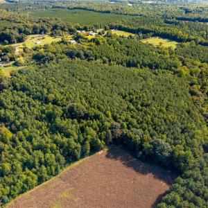 Photo #4 of 2643 Roberts Chapel, Goldston, NC 16.8 acres
