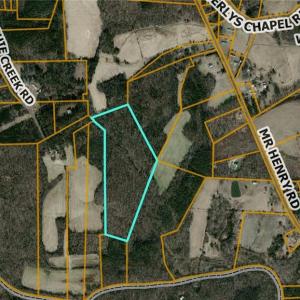 Photo #3 of Mr Henry, Mocksville, NC 33.1 acres