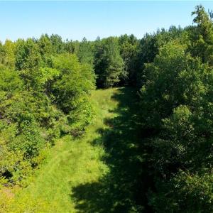 Photo #23 of 3053 NC Highway 62, Liberty, NC 53.0 acres