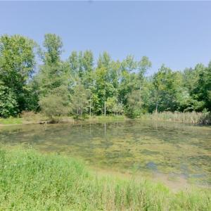 Photo #7 of 3053 NC Highway 62, Liberty, NC 53.0 acres