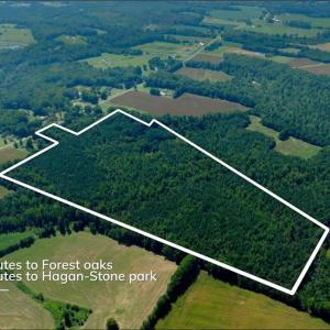 Photo #3 of 3053 NC Highway 62, Liberty, NC 53.0 acres