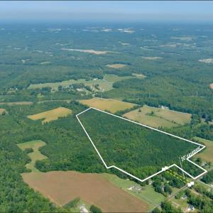Photo #5 of 3053 NC Highway 62, Liberty, NC 53.0 acres