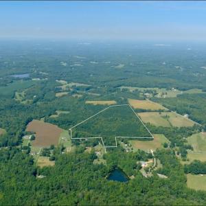 Photo #24 of 3053 NC Highway 62, Liberty, NC 53.0 acres