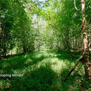 Photo #10 of 3053 NC Highway 62, Liberty, NC 53.0 acres