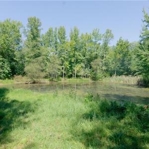 Photo #14 of 3053 NC Highway 62, Liberty, NC 53.0 acres