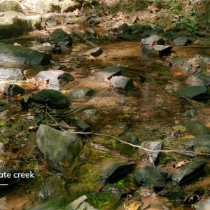 Photo #19 of 3053 NC Highway 62, Liberty, NC 53.0 acres