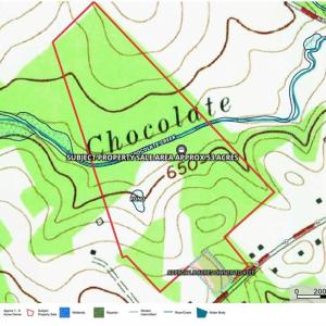 Photo #29 of 3053 NC Highway 62, Liberty, NC 53.0 acres