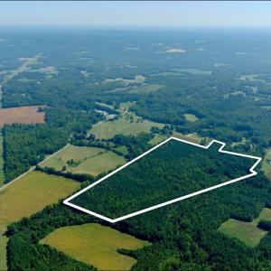 Photo #4 of 3053 NC Highway 62, Liberty, NC 53.0 acres