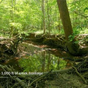 Photo #8 of 3053 NC Highway 62, Liberty, NC 53.0 acres