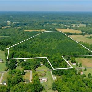 Photo #25 of 3053 NC Highway 62, Liberty, NC 53.0 acres
