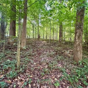 Photo #6 of 8101 Deverow, Lewisville, NC 1.5 acres