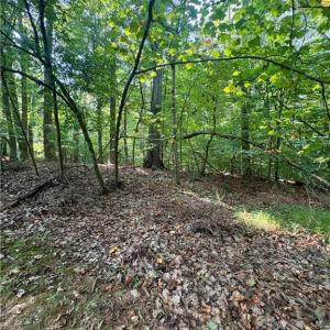 Photo #13 of 8101 Deverow, Lewisville, NC 1.5 acres
