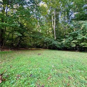 Photo #12 of 8101 Deverow, Lewisville, NC 1.5 acres