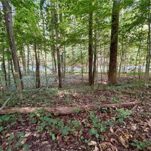 Photo #7 of 8101 Deverow, Lewisville, NC 1.5 acres