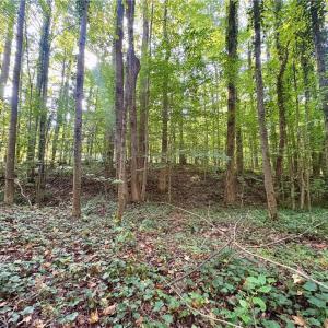 Photo #3 of 8101 Deverow, Lewisville, NC 1.5 acres