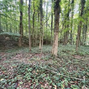 Photo #5 of 8101 Deverow, Lewisville, NC 1.5 acres
