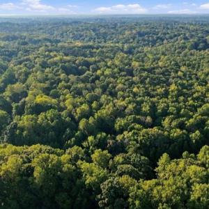 Photo #20 of 8101 Deverow, Lewisville, NC 1.5 acres